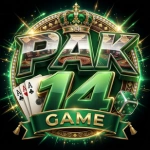 pak14 Game