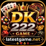 DK222 game